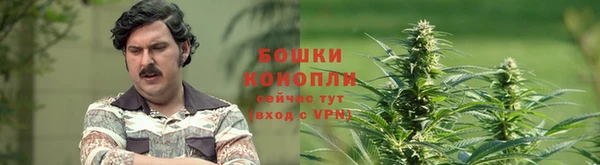 ПСИЛОЦИБИНОВЫЕ ГРИБЫ Ростов