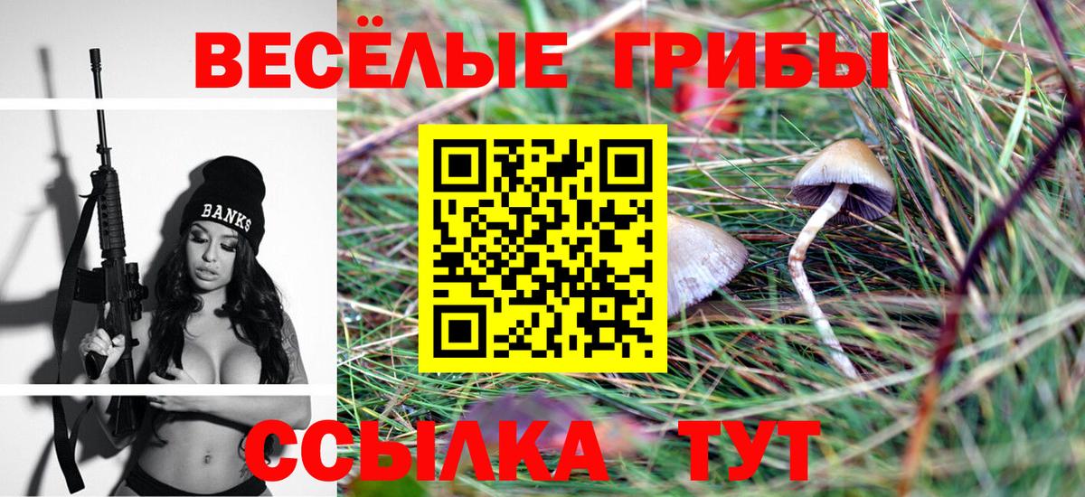 Псилоцибиновые грибы GOLDEN TEACHER  Вход с VPN  Карталы 