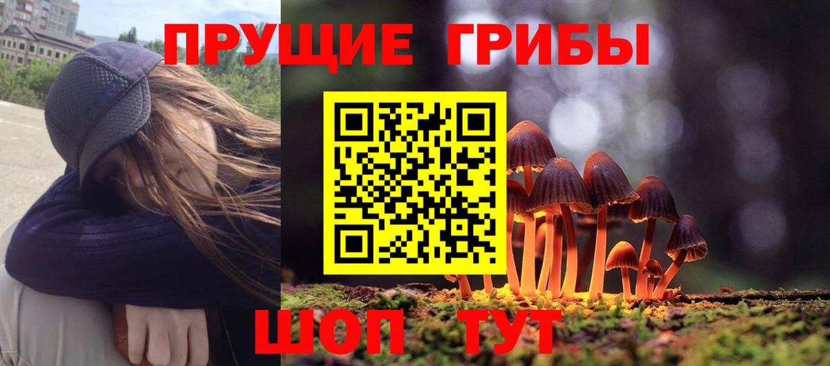 Псилоцибиновые грибы мухоморы Карталы