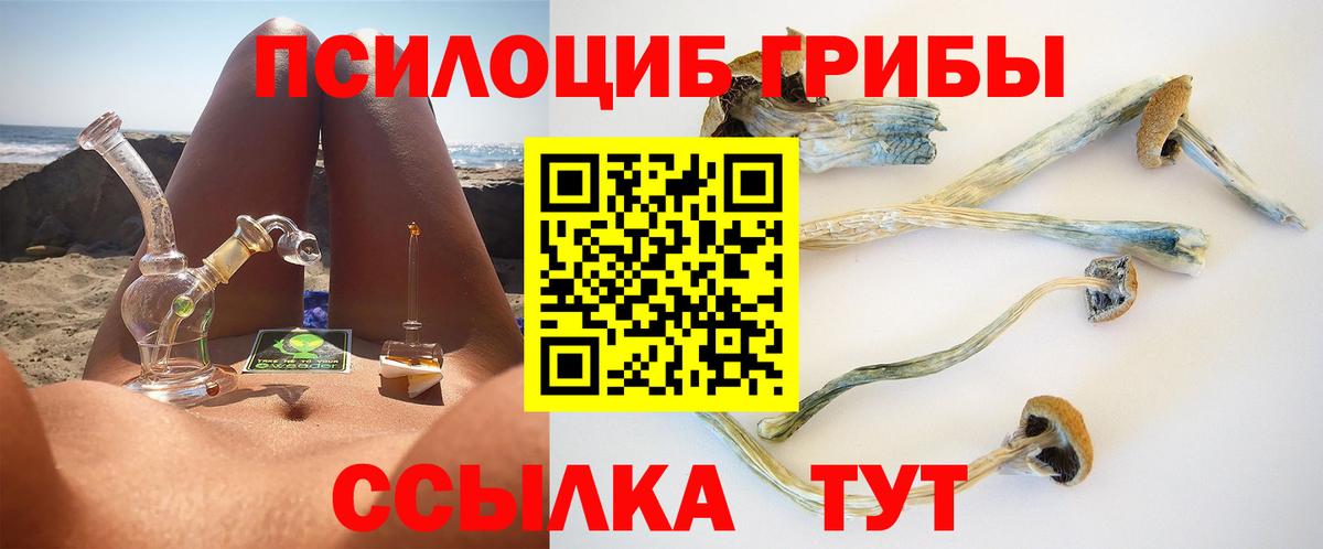 Псилоцибиновые грибы мицелий Карталы