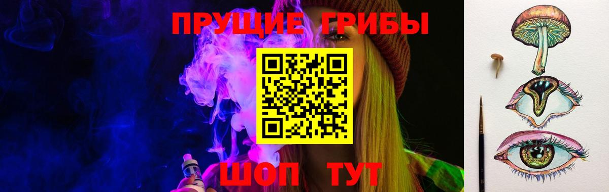 Псилоцибиновые грибы Cubensis  Карталы  Псилоцибиновые грибы прущие грибы 